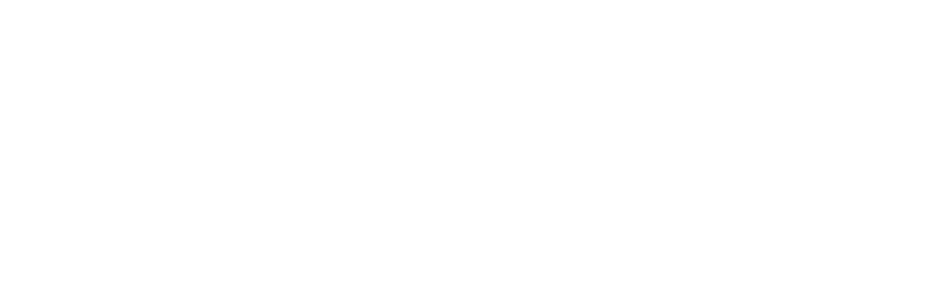 Borrowed Archive